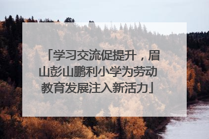 学习交流促提升，眉山彭山鹏利小学为劳动教育发展注入新活力
