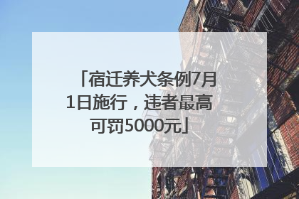 宿迁养犬条例7月1日施行，违者最高可罚5000元