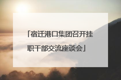 宿迁港口集团召开挂职干部交流座谈会