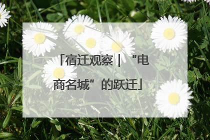 宿迁观察｜“电商名城”的跃迁