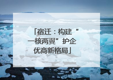 宿迁：构建“一核两翼”护企优商新格局