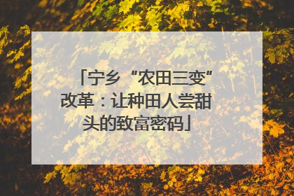 宁乡“农田三变”改革：让种田人尝甜头的致富密码