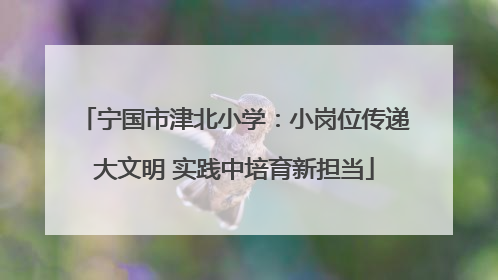 宁国市津北小学：小岗位传递大文明 实践中培育新担当