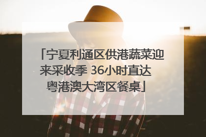 宁夏利通区供港蔬菜迎来采收季 36小时直达粤港澳大湾区餐桌