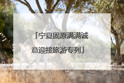 宁夏固原满满诚意迎接旅游专列