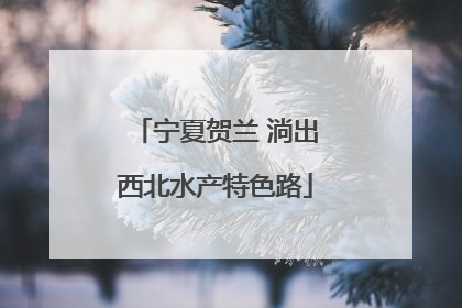 宁夏贺兰 淌出西北水产特色路