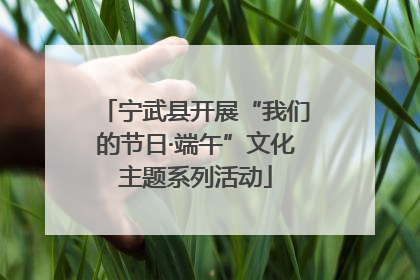 宁武县开展“我们的节日·端午”文化主题系列活动