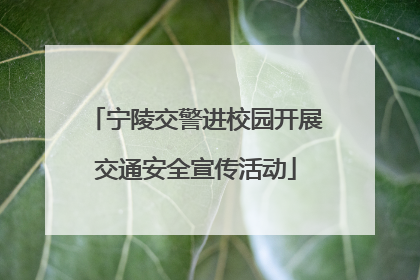 宁陵交警进校园开展交通安全宣传活动