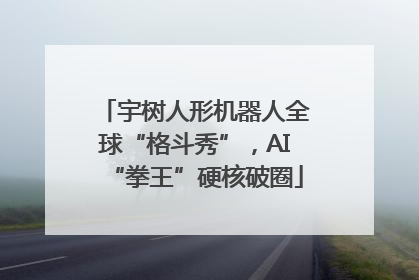 宇树人形机器人全球“格斗秀”，AI“拳王”硬核破圈