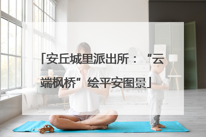 安丘城里派出所：“云端枫桥”绘平安图景