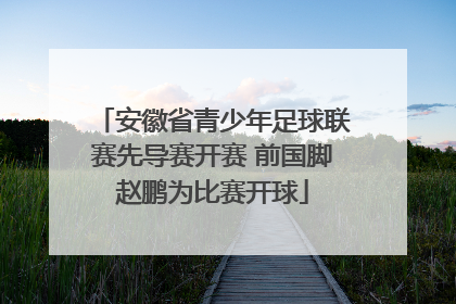 安徽省青少年足球联赛先导赛开赛 前国脚赵鹏为比赛开球