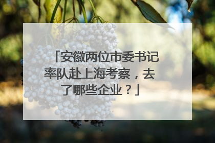 安徽两位市委书记率队赴上海考察，去了哪些企业？
