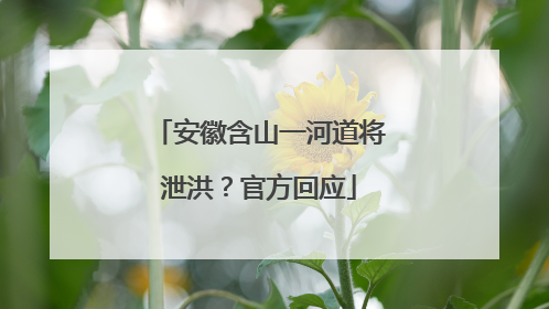 安徽含山一河道将泄洪？官方回应