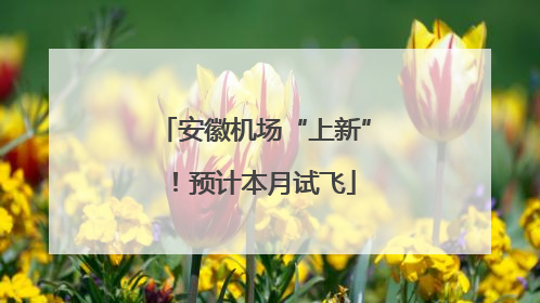 安徽机场“上新”！预计本月试飞