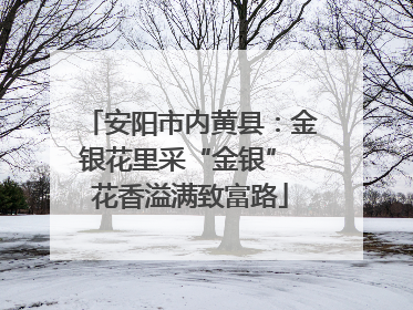 安阳市内黄县：金银花里采“金银” 花香溢满致富路