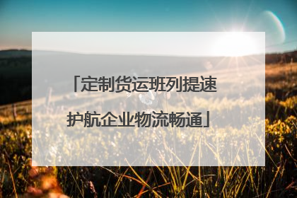 定制货运班列提速 护航企业物流畅通