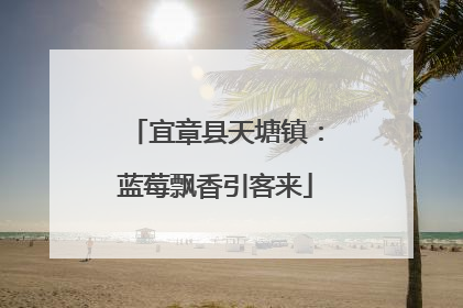宜章县天塘镇：蓝莓飘香引客来