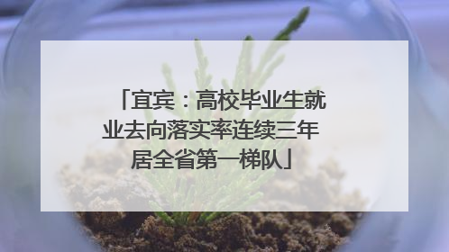 宜宾：高校毕业生就业去向落实率连续三年居全省第一梯队