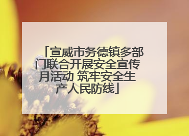 宣威市务德镇多部门联合开展安全宣传月活动 筑牢安全生产人民防线