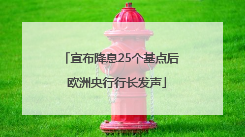宣布降息25个基点后 欧洲央行行长发声