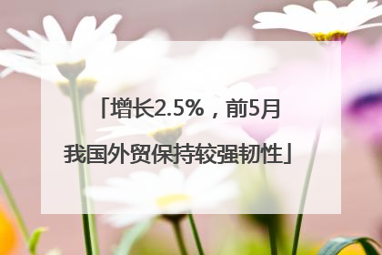 增长2.5%，前5月我国外贸保持较强韧性