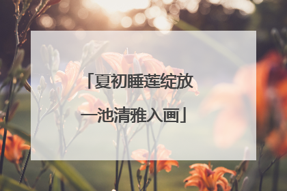 夏初睡莲绽放 一池清雅入画