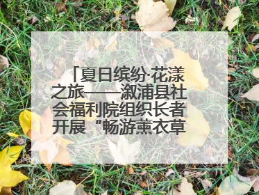 夏日缤纷·花漾之旅——溆浦县社会福利院组织长者开展“畅游薰衣草庄园 共享紫色浪漫”户外活动
