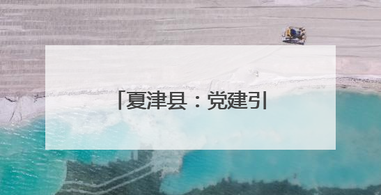 夏津县：党建引领强根基 “支部主心骨”聚合力