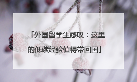 外国留学生感叹：这里的低碳经验值得带回国