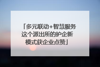 多元联动+智慧服务 这个派出所的护企新模式获企业点赞