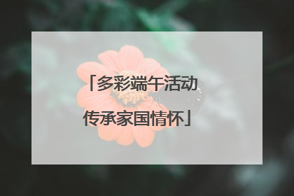 多彩端午活动 传承家国情怀
