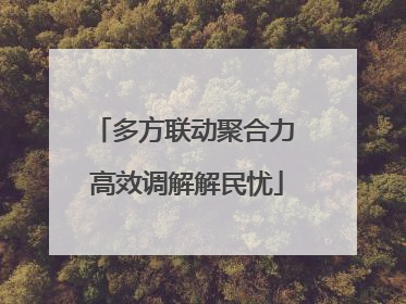 多方联动聚合力 高效调解解民忧