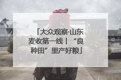 大众观察·山东麦收第一线丨“良种田”里产好粮