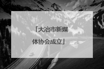 大冶市新媒体协会成立