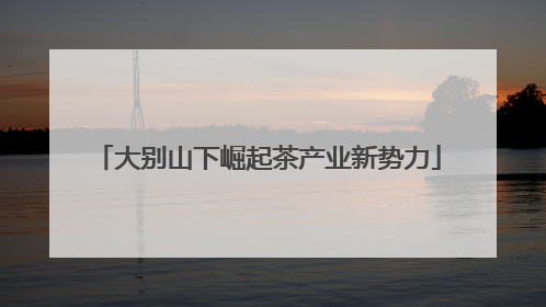 大别山下崛起茶产业新势力