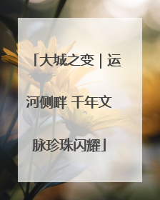 大城之变｜运河侧畔 千年文脉珍珠闪耀