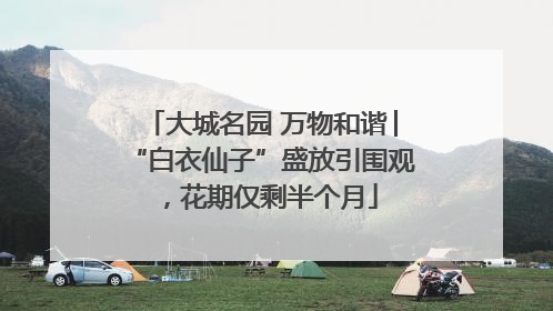 大城名园 万物和谐│“白衣仙子”盛放引围观，花期仅剩半个月