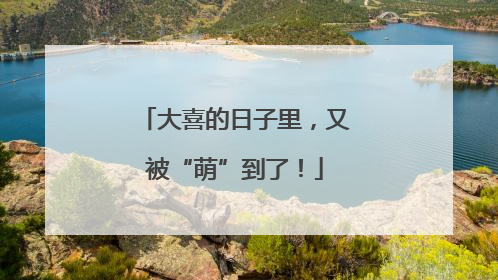 大喜的日子里，又被“萌”到了！
