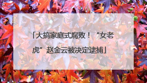 大搞家庭式腐败！“女老虎”赵金云被决定逮捕