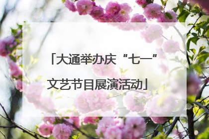 大通举办庆“七一”文艺节目展演活动