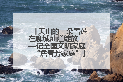 天山的一朵雪莲在聊城灿烂绽放——记全国文明家庭“詹春芳家庭”