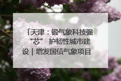 天津：锻气象科技强“芯” 护韧性城市建设｜增发国债气象项目落地见效系列报道