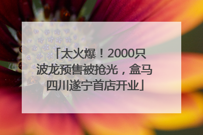 太火爆！2000只波龙预售被抢光，盒马四川遂宁首店开业