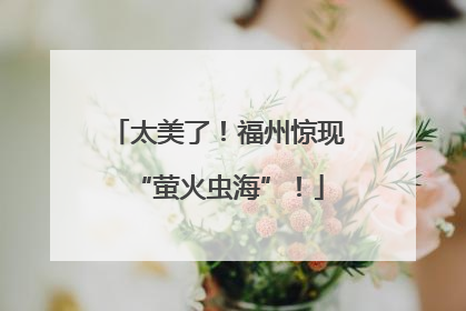 太美了！福州惊现“萤火虫海”！