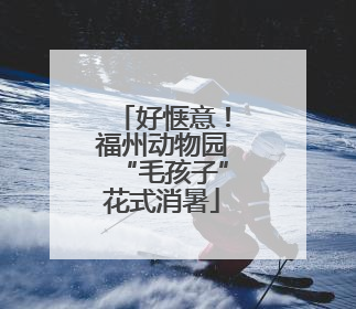 好惬意！福州动物园“毛孩子”花式消暑