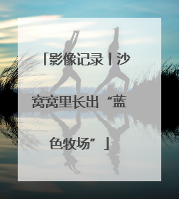 影像记录丨沙窝窝里长出“蓝色牧场”