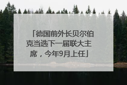 德国前外长贝尔伯克当选下一届联大主席，今年9月上任
