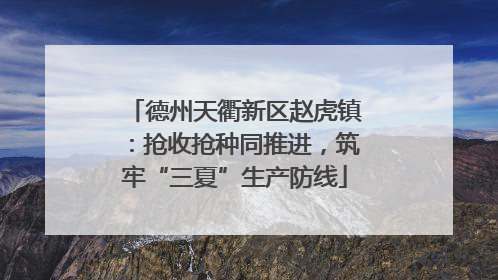 德州天衢新区赵虎镇：抢收抢种同推进，筑牢“三夏”生产防线
