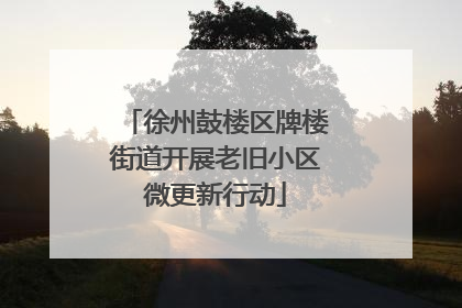 徐州鼓楼区牌楼街道开展老旧小区微更新行动