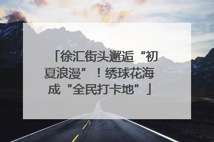 徐汇街头邂逅“初夏浪漫”！绣球花海成“全民打卡地”